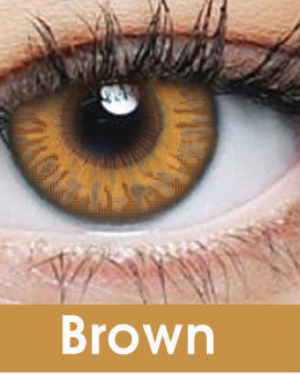 Brown-visionstore.pk