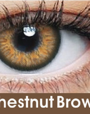 Chesthrul-Brown-visionstore.pk