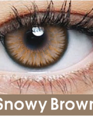 Snowy-Brown visionstore.pk